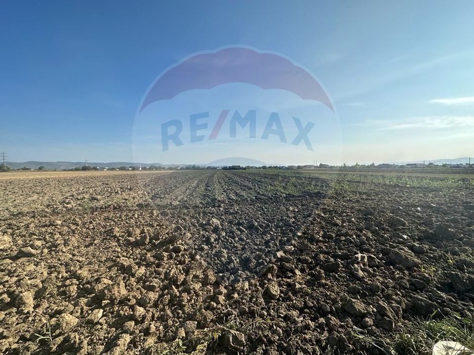 Land 13,596sqm Bacau / Strada Dorului