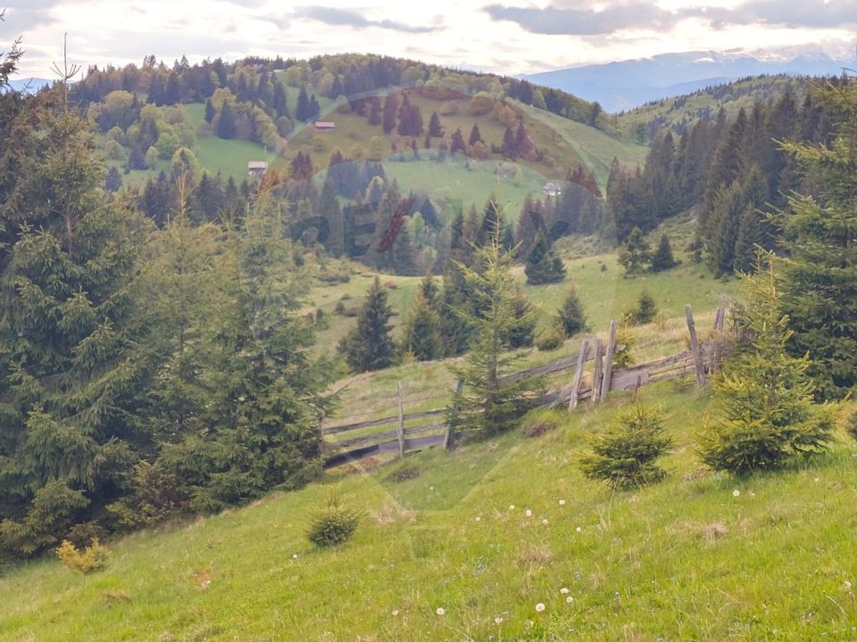 O fereastră către cer – teren de vis în Fundata, la poalele Bucegilor