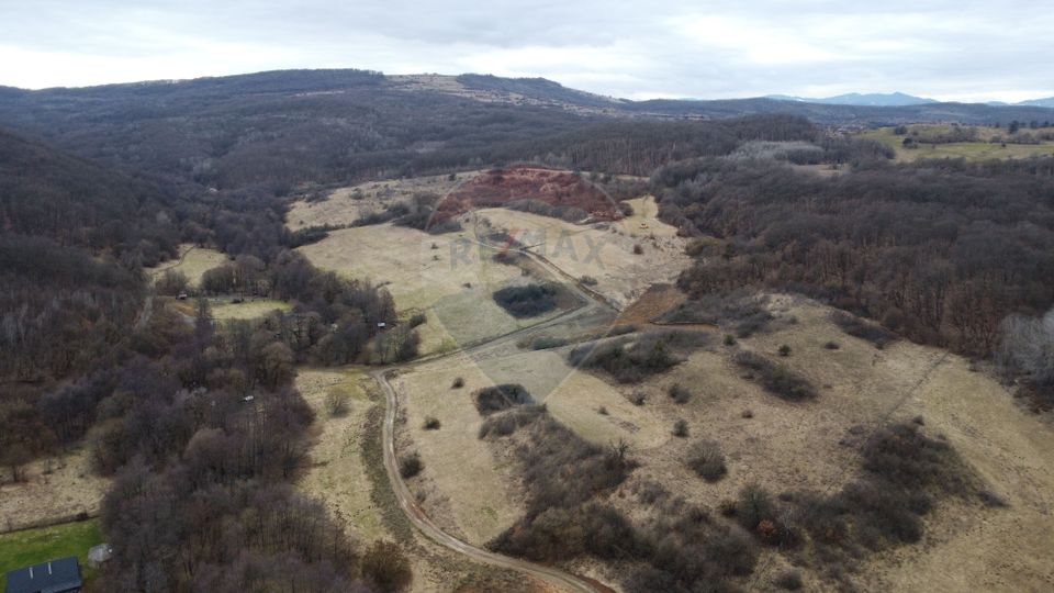 Land 999sqm Floresti / Strada Valea Garbaului