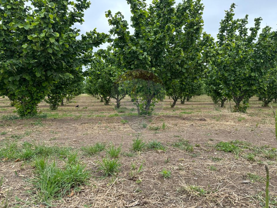 6 room House / Villa for sale