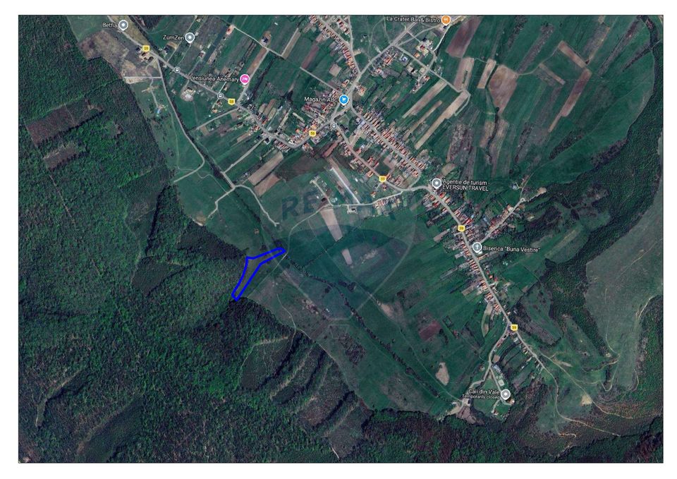Teren intravilan, 9465 mp, Betfia, lângă pădure, de vânzare