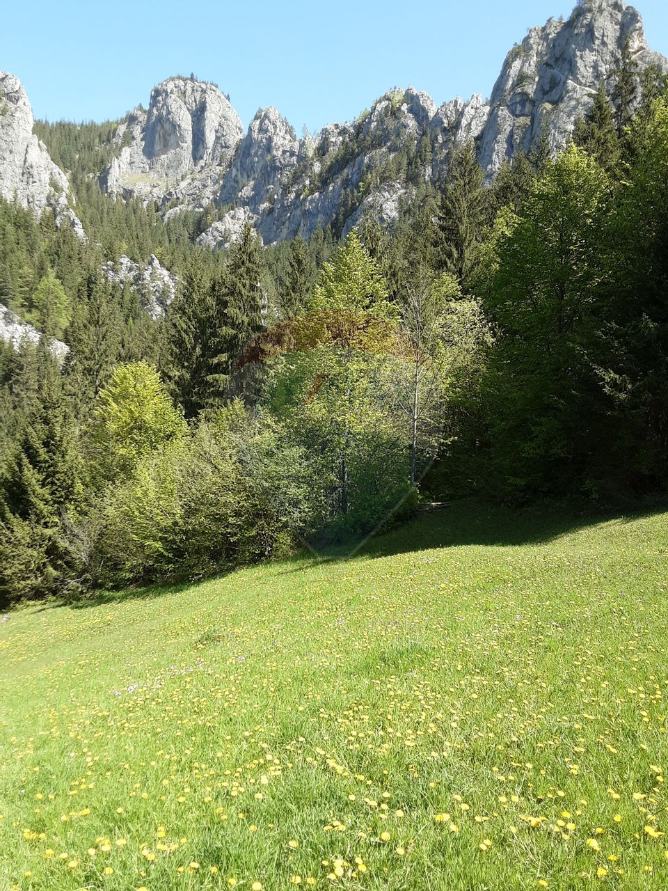 Land 8,619sqm Bicaz-Chei / Strada Sugaului