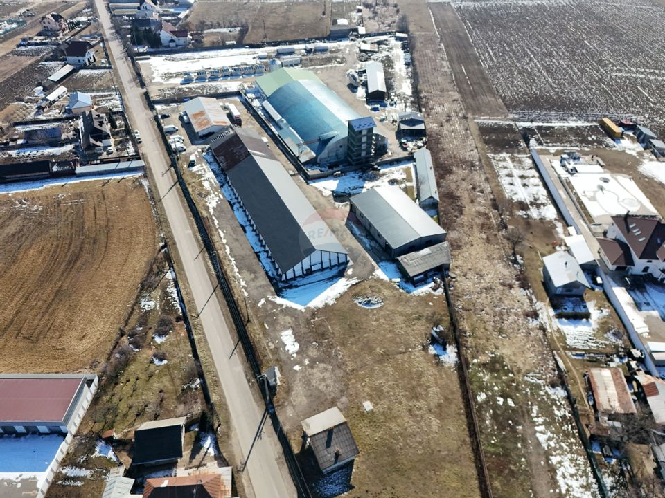 Hale industriale de închiriat în Tg Neamț