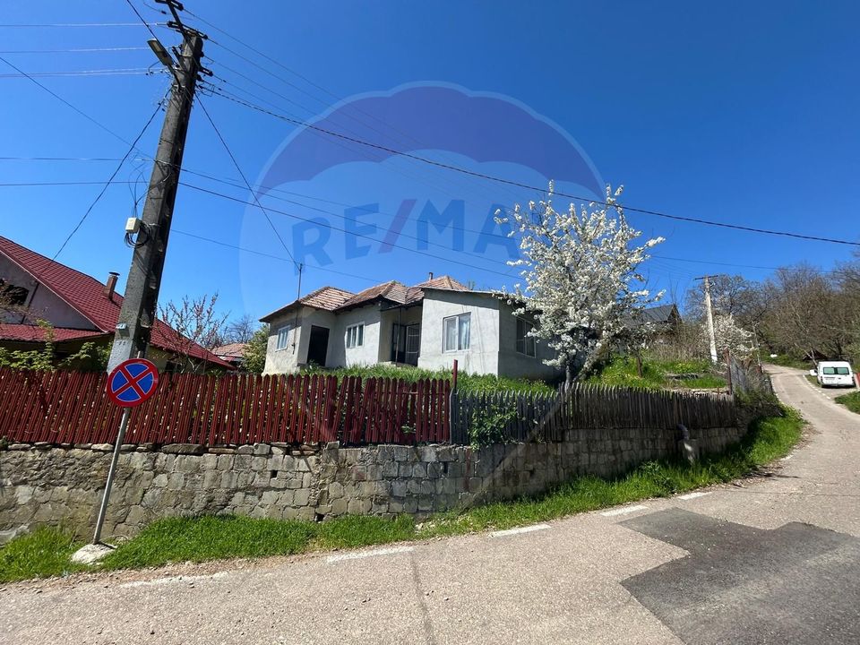 Casa bunicilor, cu gradina, Lera, Buzau!