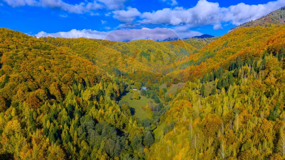 COMISION 0% Teren 11,381 mp Moieciu de Jos / Oportunitate unică