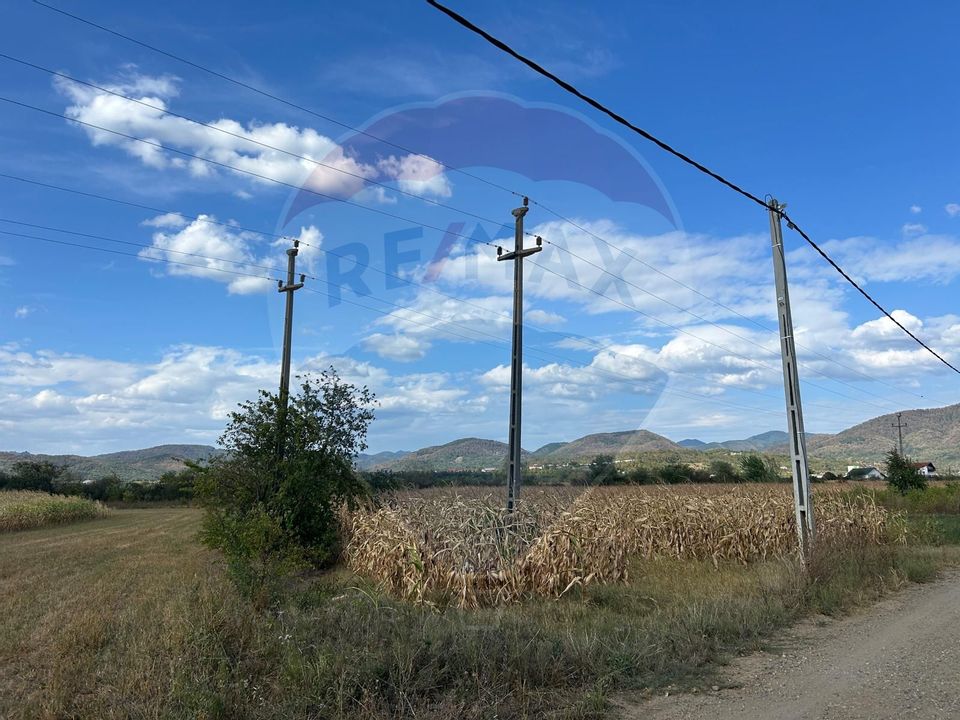 Land 3,172sqm Sasar / Strada 1 Decembrie