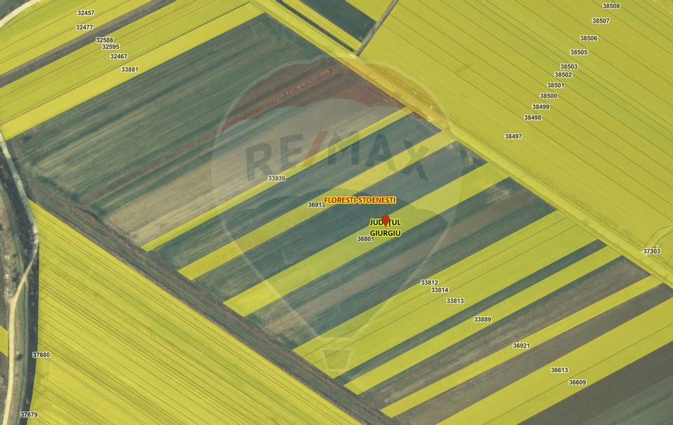 Teren intravilan constructii Stoenesti (Floresti-Stoenesti) / None