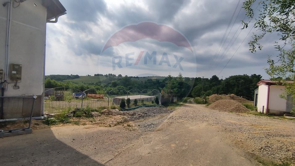 De Vânzare – Imobil Multifuncțional în  Șinteu, Bihor