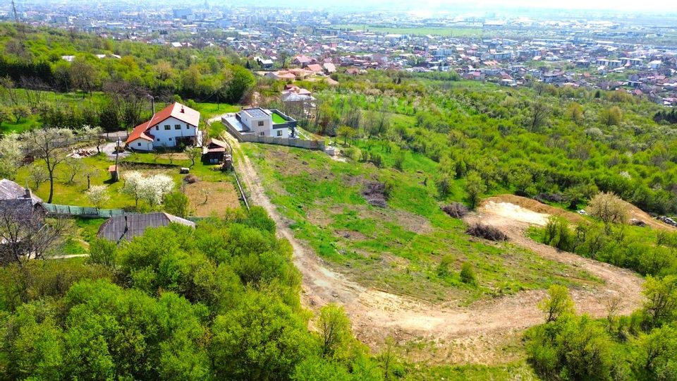 Land 951sqm Baia Mare / Strada Miron Costin