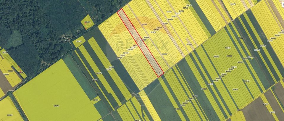 Teren intravilan Buftea, langa Padurea Mocanului