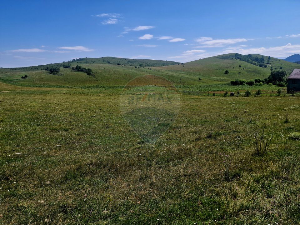 Land 5,000sqm Piatra-Neamt / Strada Punct Petruca