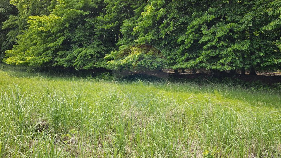 Teren Ilisesti  7000mp extravilan/ DN 17, Suceava