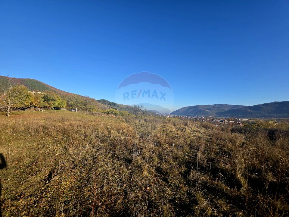 Land 6,874sqm Alexandru cel Bun / Strada plopusor