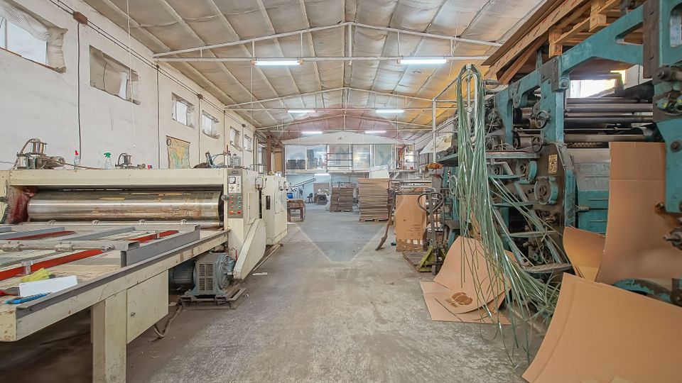 Comision 0 | Dezvoltare sau business: hale + teren 5.924 mp