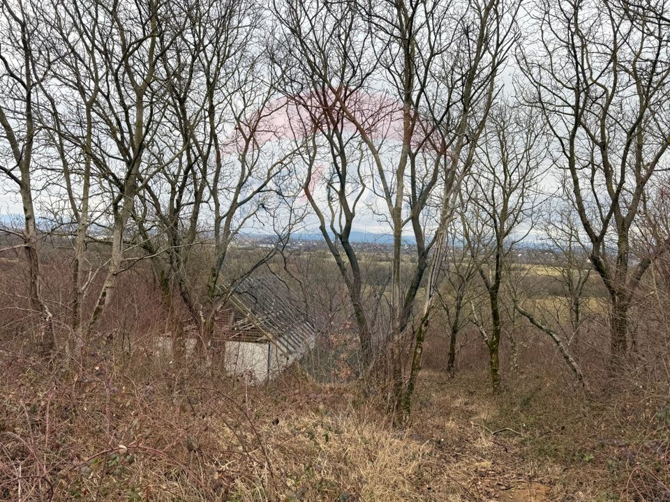 DE VANZARE Teren Strada Victoriei Baia Mare