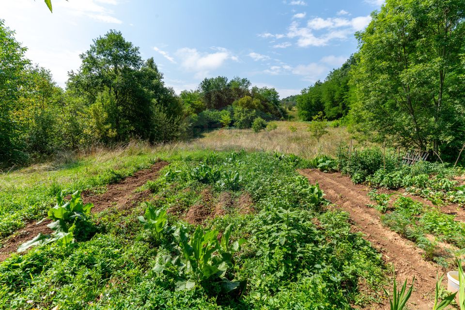 Casă / Vilă cu 3 camere de vânzare