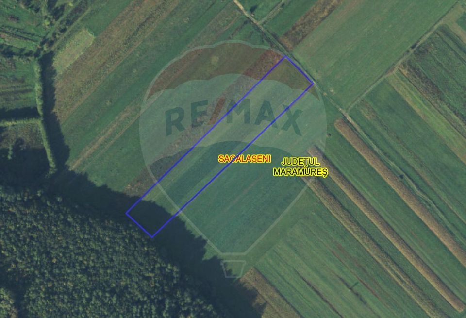 Land 8,630sqm Culcea / Drumul Padurii