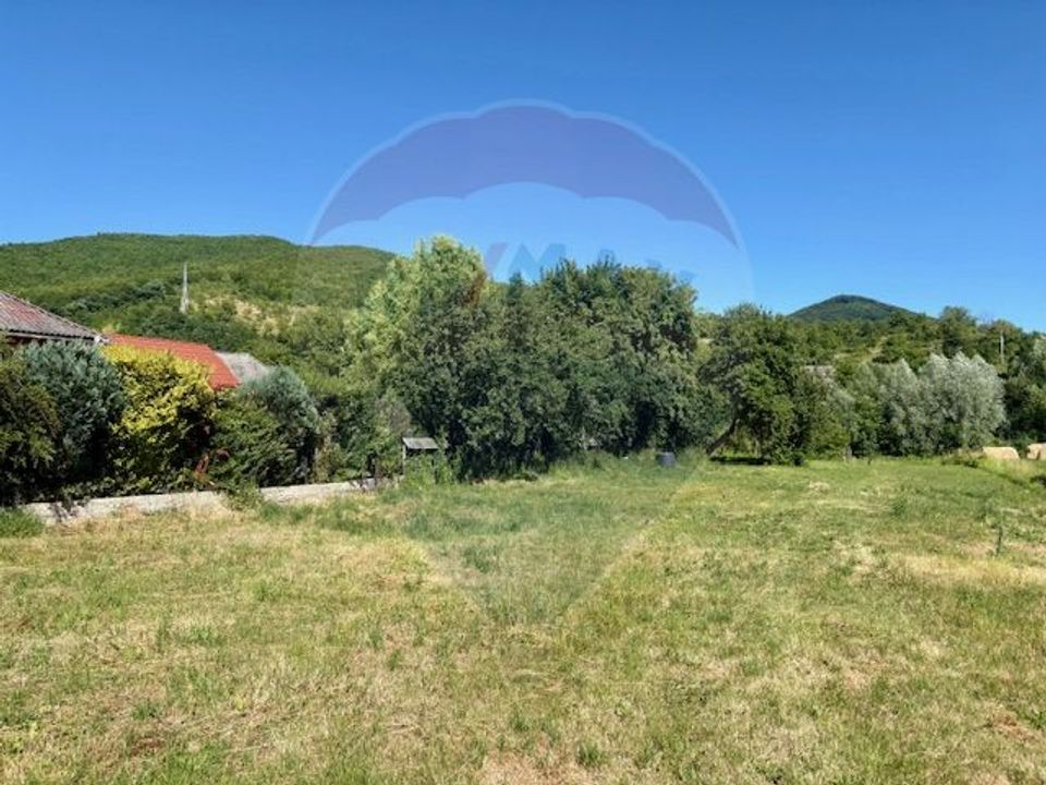 Land 3,154sqm Barsana / Intrarea principala