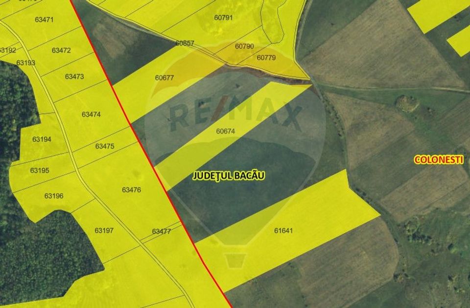 20 ha terenuri agricole de vanzare in Bacau