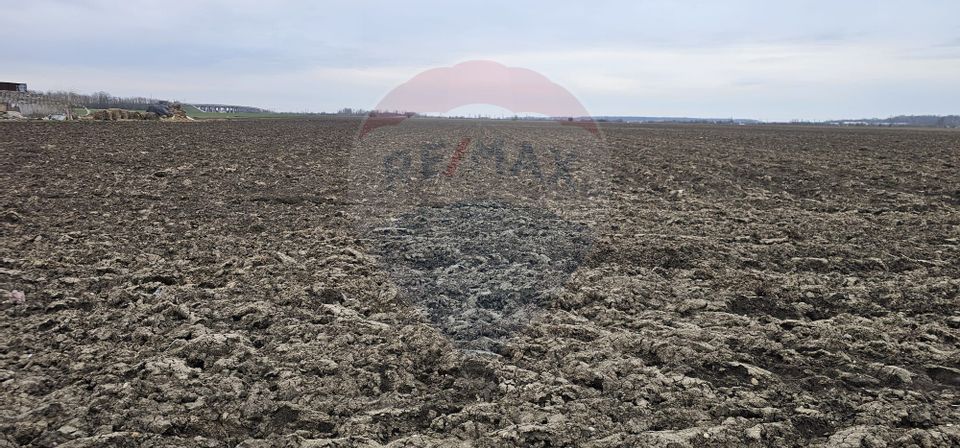 Land for sale 8600sqm Darvari Sabarului Street Ilfov Ciorogarla