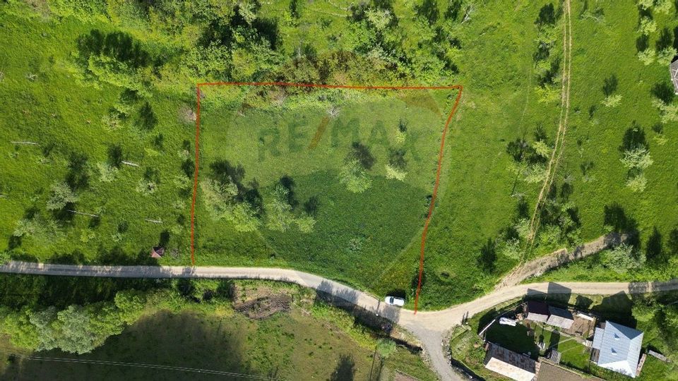 COMISION ZERO - Teren 2339 mp in Barsana