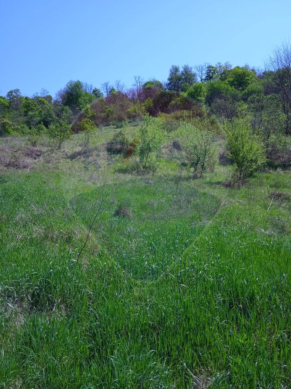 Teren intravilan de vânzare – Hula Baznei, 800 mp