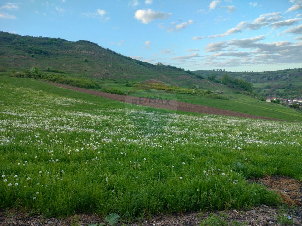 Teren intravilan în Târnăveni!