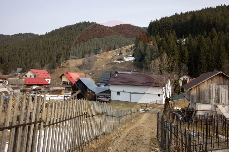 Land 1,091sqm Moieciu de Sus / Strada Valea Bangaleasa