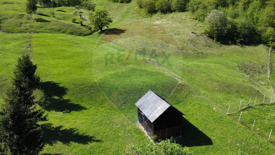 Land 12,127sqm Frasin / Drumul Forestier Valea Seacă