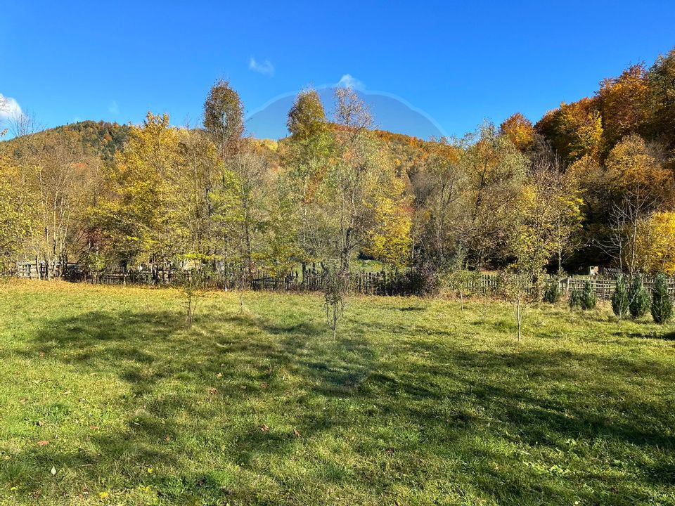 Land 1,350sqm Garcina / Strada Cuejdiului