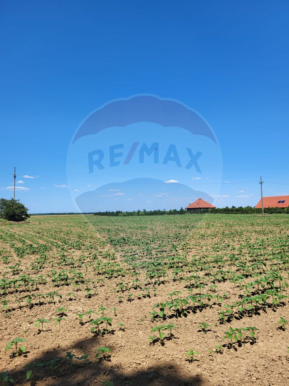 Land 5,000sqm Peris / Drumul tarla