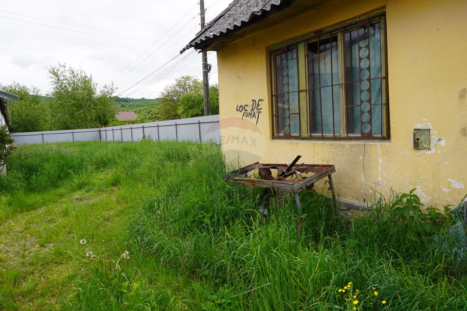 Land 10,941sqm Sighetu Marmatiei / Strada Faget