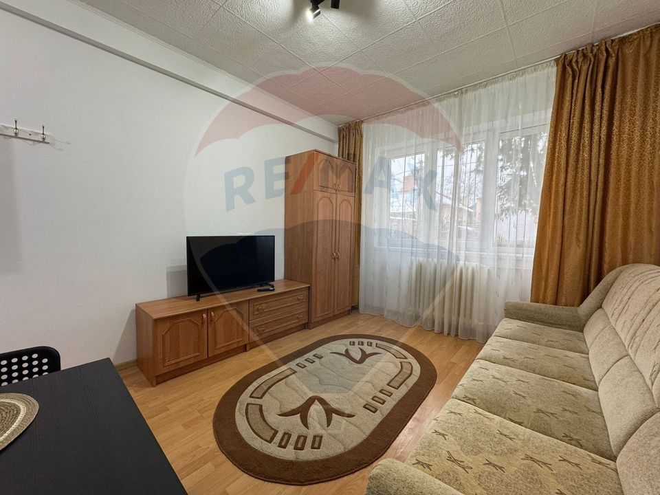1 room Apartment for rent