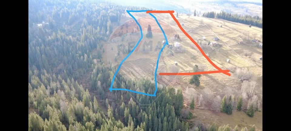 Teren INTRAVILAN 23.238m.p. Dorna-Arini / Cozănești