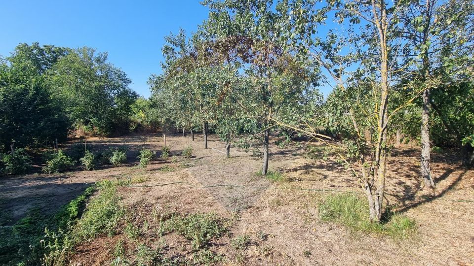 Teren intravilan de inchiriat  - 3.600mp Șoseaua Unirii – Balotești