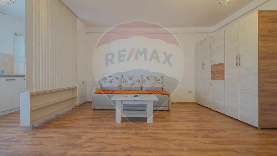 1 room Apartment for rent