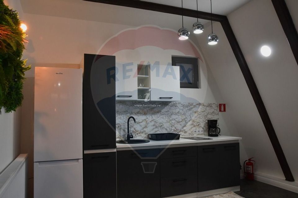 Casa noua de vanzare Ocna Șugatag