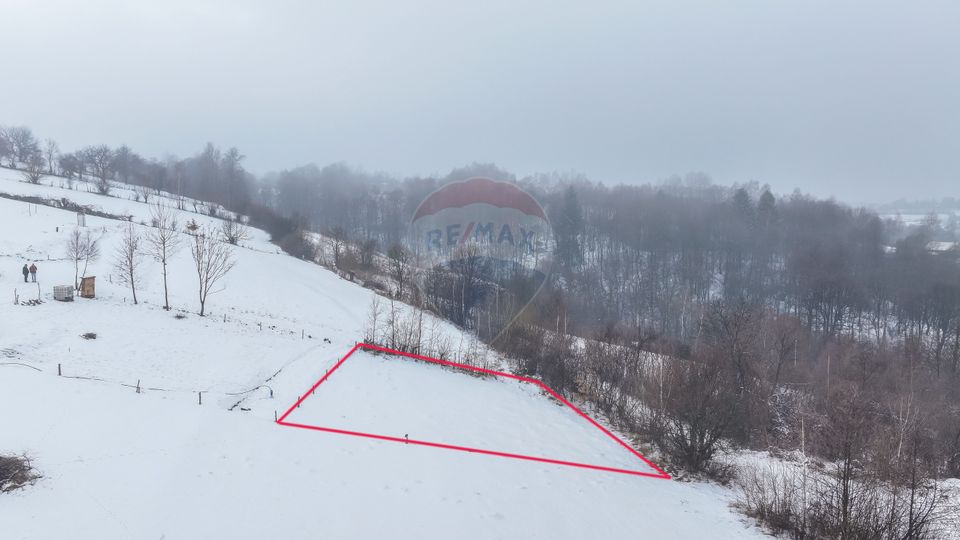 Land 500sqm Zarnesti / Strada Pe tarina