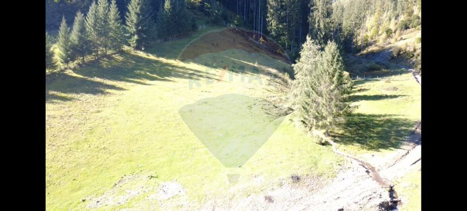 Teren 9555mp, din care 6120m.intravilan Vatra Dornei.