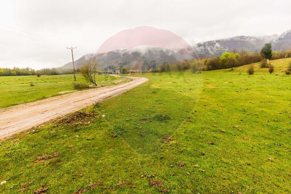 Teren Rasnov-Glajerie 2500 mp marginit de parau