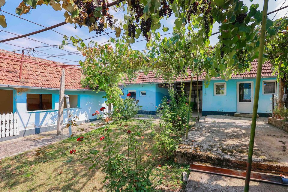 3 room House / Villa for sale