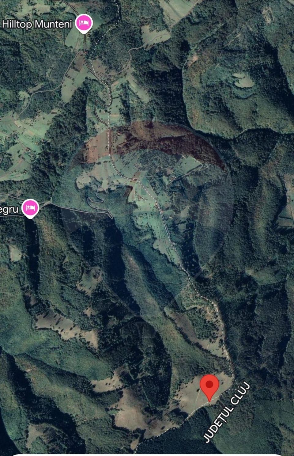 Teren 130000 mp extravilan, faneata si padure, Munteni - Bulz, Negreni