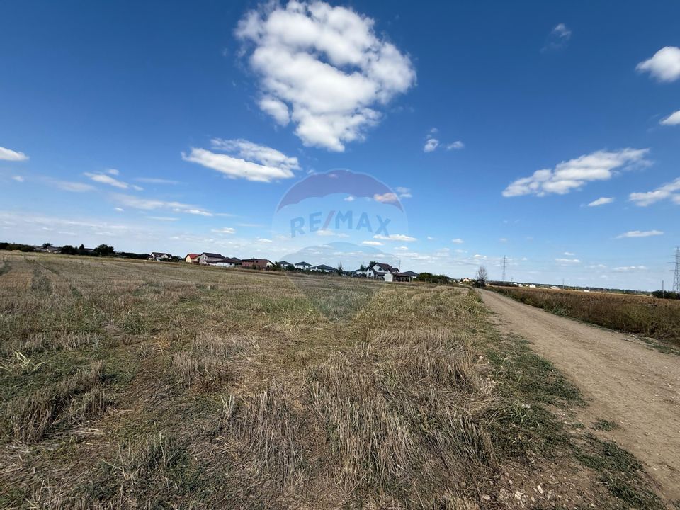 Land 5,000sqm Sabareni / Strada Trandafirilor