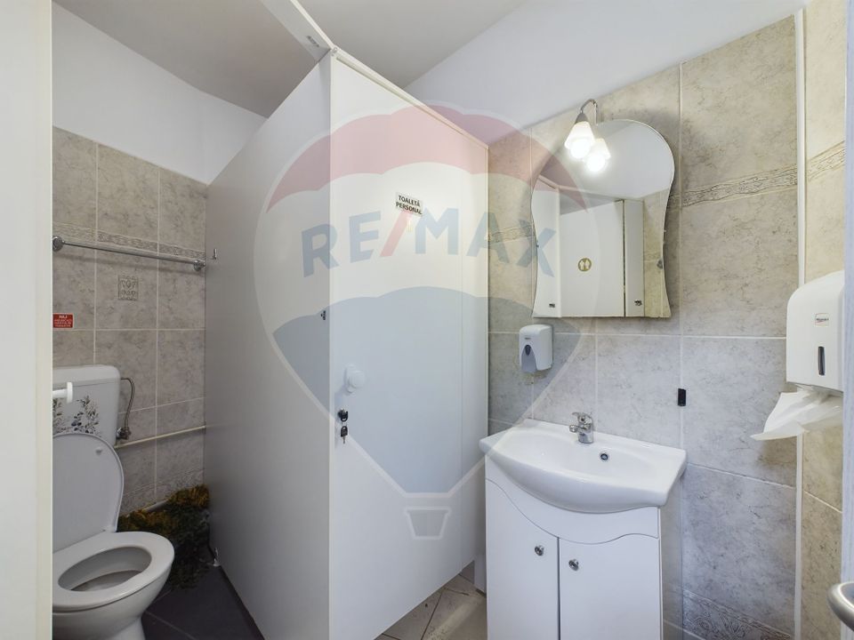 13 room House / Villa for sale, P-ta Victoriei area
