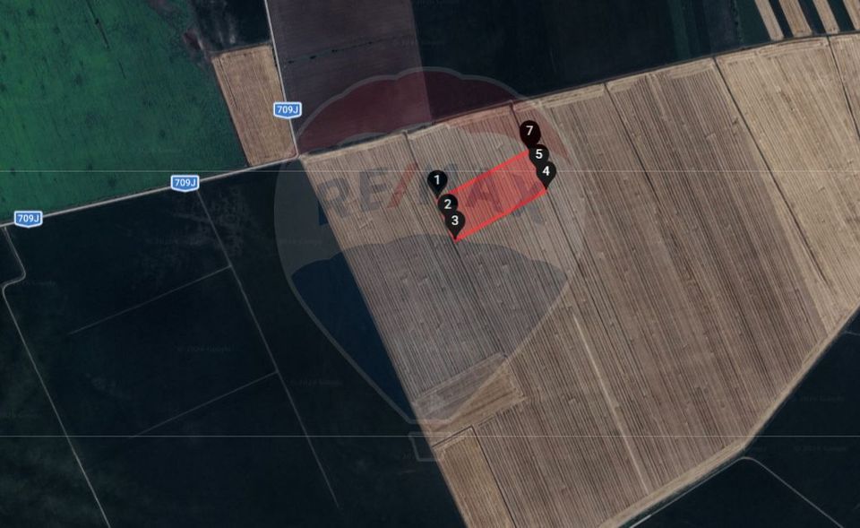 Teren extravilan 46,300mp Curtici