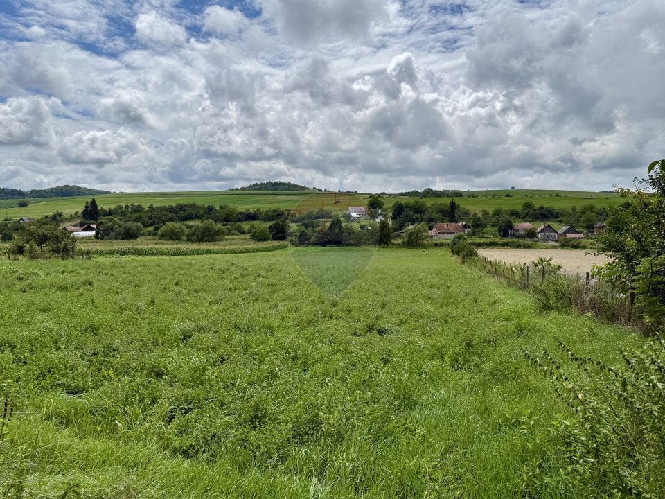 Teren 3200 mp I intravilan I Certificat Urbanism I Aschileu Mic