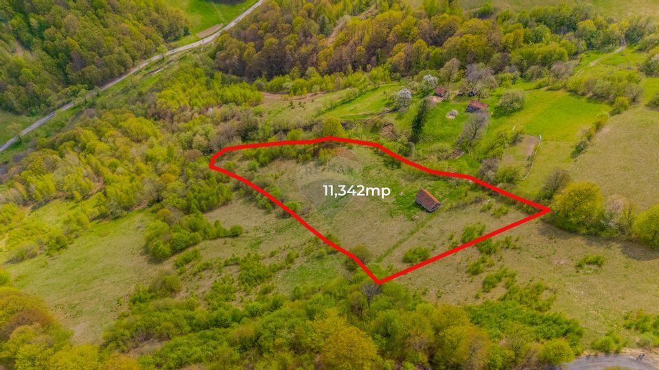 Teren 11,342 mp Poiana Marului /Extravilan/Oportunitate investiție