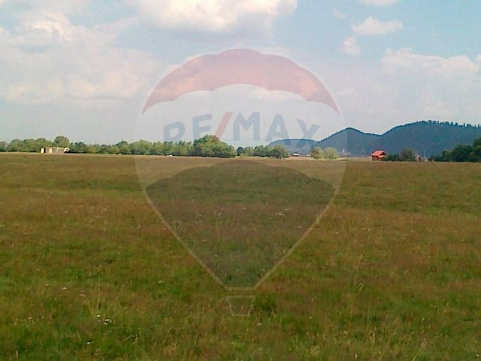 Teren Rasnov -Glajerie, Strada Greierilor, 1000mp