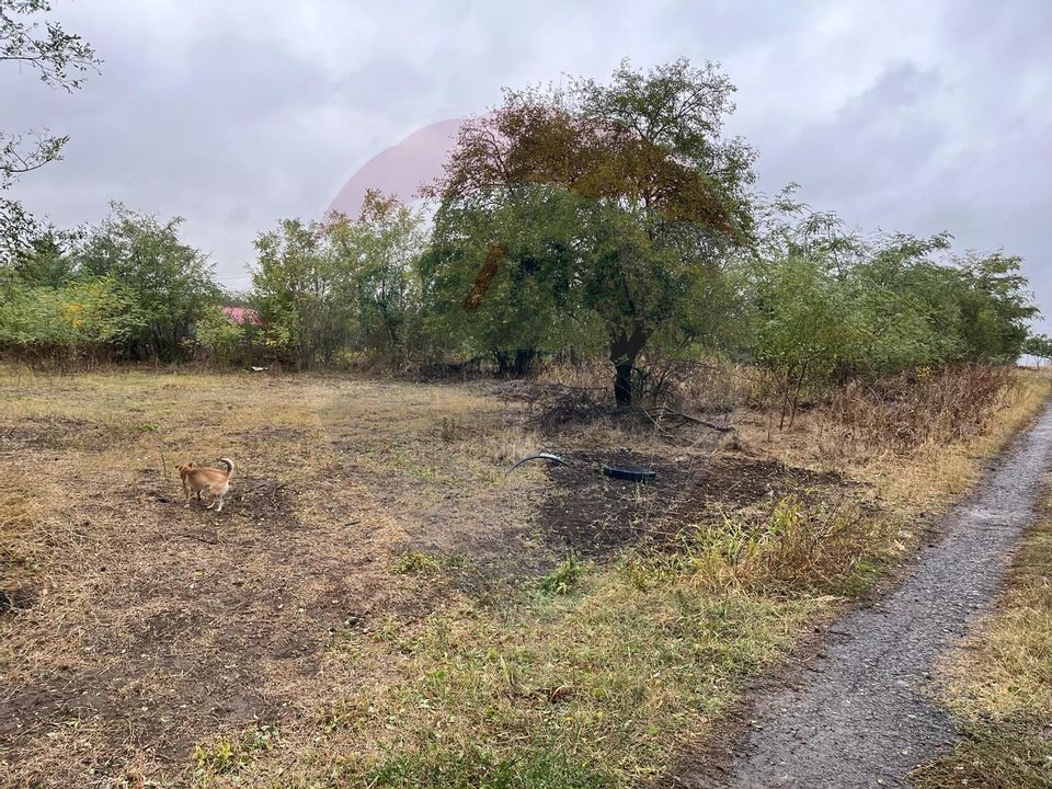 Land 1,700sqm Polcesti / Strada Crângului