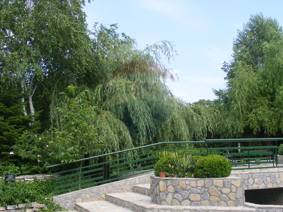 7 room House / Villa for sale